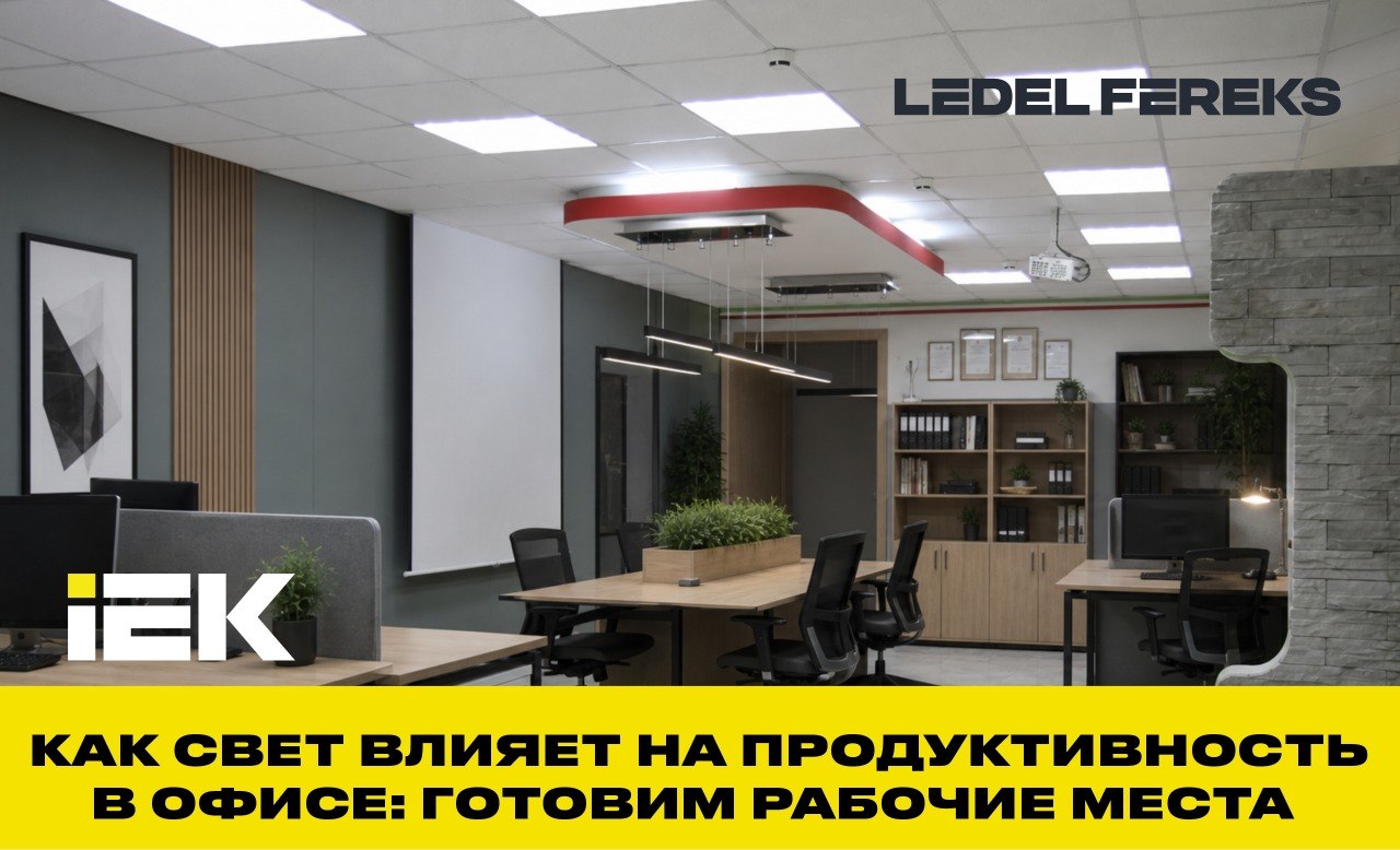 Как свет влияет на продуктивность в офисе: готовим рабочие места к осени
